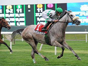 Winter Memories Rolls to Easy Beaugay Victory Winter Memories Rolls to Easy Beaugay Victory