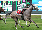 Winter Memories Rolls to Easy Beaugay Victory
