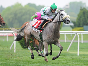 Grade I Winner Winter Memories Retired Grade I Winner Winter Memories Retired