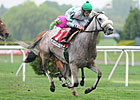 Grade I Winner Winter Memories Retired