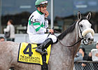 Featured Horse Profile: Winter Memories Featured Horse Profile: Winter Memories