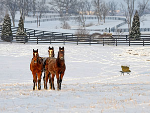 Blue Grass Farms Charities Event on Dec. 18 Blue Grass Farms Charities Event on Dec. 18