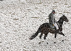 Mountaineer Cancels; Parx Loses Most of Card Mountaineer Cancels; Parx Loses Most of Card