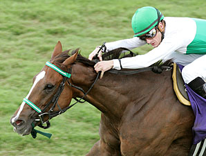 Caprice Faces 10 in Rood & Riddle Dowager Caprice Faces 10 in Rood & Riddle Dowager