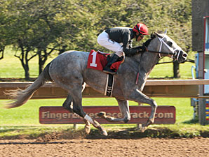 Wired Bryan Wires Field in NYB Futurity Wired Bryan Wires Field in NYB Futurity