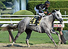 NY-Bred Wired Bryan Buzzes to Sanford Upset NY-Bred Wired Bryan Buzzes to Sanford Upset