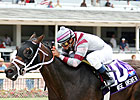 Wise Answer Tries Turf at Calder