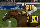 Wise Dan Heads Shadwell Turf Mile Lineup Wise Dan Heads Shadwell Turf Mile Lineup