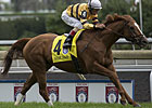 Wise Dan Slips on 'Best Horses List' Wise Dan Slips on 'Best Horses List'