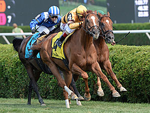 Wise Dan Passes Return Test in Flying Colors Wise Dan Passes Return Test in Flying Colors