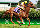 Wise Dan Scores Firecracker in Turf Debut