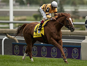 Wise Dan Again Finalist for Top Eclipse Award Wise Dan Again Finalist for Top Eclipse Award