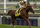 Wise Dan Again Finalist for Top Eclipse Award Wise Dan Again Finalist for Top Eclipse Award