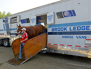 Wise Dan, Other Breeders' Cup Runners Arrive Wise Dan, Other Breeders' Cup Runners Arrive