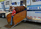 Wise Dan, Other Breeders' Cup Runners Arrive Wise Dan, Other Breeders' Cup Runners Arrive