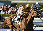 Wise Dan Takes BC Mile in Course-Record Time