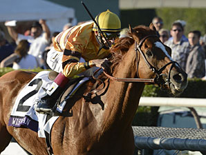 Wise Dan Works, Fourstardave Field Shapes Up Wise Dan Works, Fourstardave Field Shapes Up