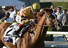 Wise Dan Recovering Well After Surgery Wise Dan Recovering Well After Surgery