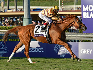 Wise Dan Sweeps HOY, Older Male, Turf Titles