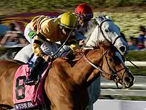 Wise Dan Rolls Again in Breeders' Cup Mile