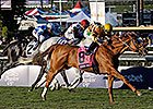 Hangin' With Haskin: Wise Dan Great, Period