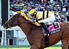 International Ceremony to Recognize Wise Dan International Ceremony to Recognize Wise Dan