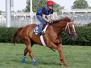 Wise Dan, Others Drill for CD's Firecracker Wise Dan, Others Drill for CD's Firecracker