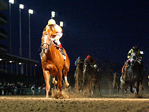 Wise Dan Impresses in Clark Handicap Wise Dan Impresses in Clark Handicap