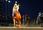 Wise Dan Impresses in Clark Handicap Wise Dan Impresses in Clark Handicap