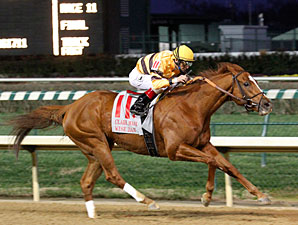 Wise Dan Gets Season Started in Ben Ali Wise Dan Gets Season Started in Ben Ali