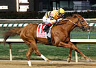 Wise Dan Gets Season Started in Ben Ali