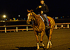 Wise Dan Works Toward Maker's 46 Mile Defense Wise Dan Works Toward Maker's 46 Mile Defense