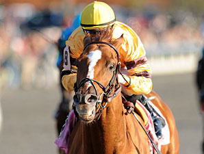 Wise Dan Makes Easy Work of Fayette