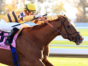 Wise Dan All Set for Upcoming Woodbine Mile Wise Dan All Set for Upcoming Woodbine Mile