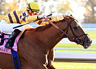 Wise Dan All Set for Upcoming Woodbine Mile