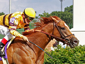 Wise Dan Preps for Keeneland's Shadwell Mile Wise Dan Preps for Keeneland's Shadwell Mile
