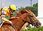 Wise Dan Preps for Keeneland's Shadwell Mile Wise Dan Preps for Keeneland's Shadwell Mile