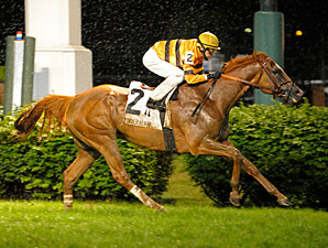 Wise Dan Squeezes Out Soggy Firecracker Win Wise Dan Squeezes Out Soggy Firecracker Win