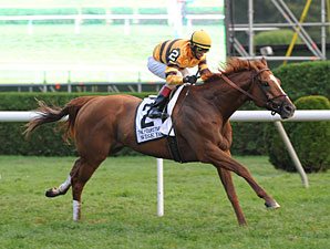 Favored Wise Dan Gets Post 3 in Woodbine Mile Favored Wise Dan Gets Post 3 in Woodbine Mile