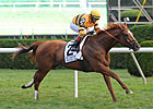 Wise Dan Flies in Turf Work; Others Breeze