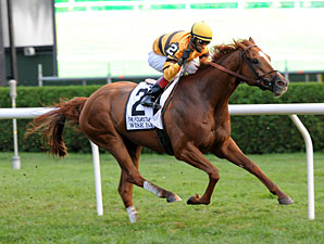 Stall, Shirreffs Gunning for Wise Dan at Spa Stall, Shirreffs Gunning for Wise Dan at Spa