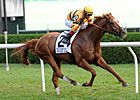 Wise Dan Much the Best in Fourstardave