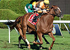 Haskin: Another Opportunity For Wise Dan Haskin: Another Opportunity For Wise Dan