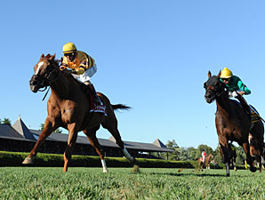 Wise Dan Handles Test in Fourstardave Repeat