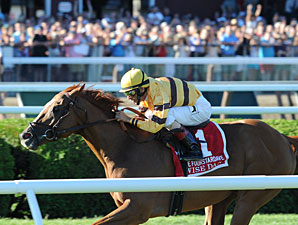 Wise Dan to Depart for Woodbine Sept. 12 Wise Dan to Depart for Woodbine Sept. 12