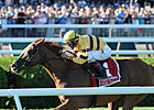 Wise Dan to Depart for Woodbine Sept. 12 Wise Dan to Depart for Woodbine Sept. 12
