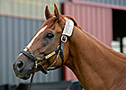 The Buzz: Wise Dan Returns Home May 21 The Buzz: Wise Dan Returns Home May 21