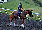 Wise Dan Continues Comeback at Keeneland Wise Dan Continues Comeback at Keeneland