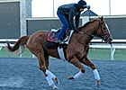 Wise Dan Tightens Screws in Keeneland Drill