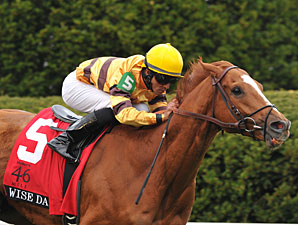 Wise Dan Takes on Point of Entry in Woodford Wise Dan Takes on Point of Entry in Woodford